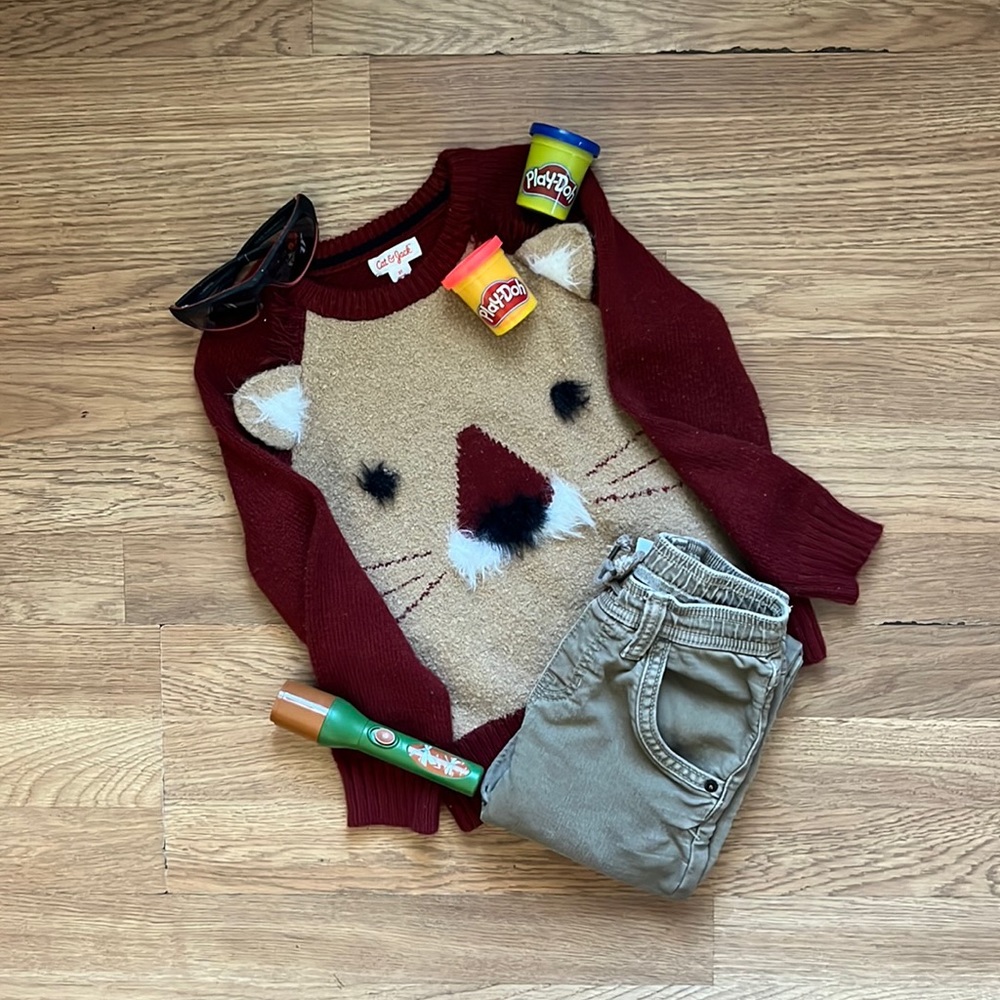 Cat & Jack Lion Sweater and Denim Pant